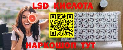 гидра Заводоуковск