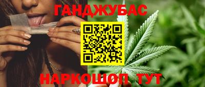 гидра Заволжье