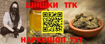 гидра Заводоуковск