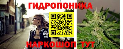 гидра Заводоуковск