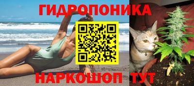 гидра Заводоуковск