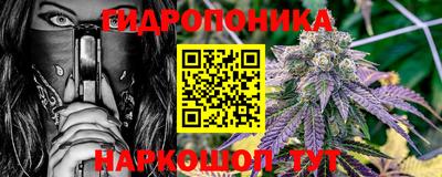 гидра Заволжье