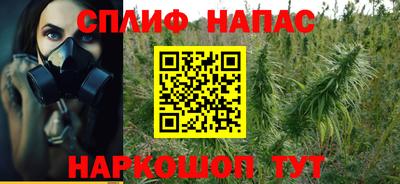 гидра Заволжье