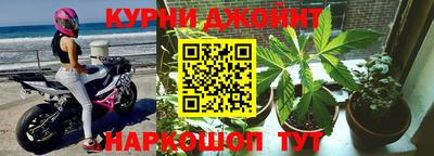 гидра Заводоуковск
