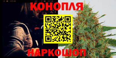 бошки Донской