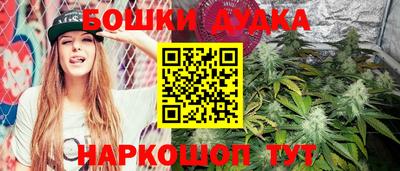 гидра Заводоуковск