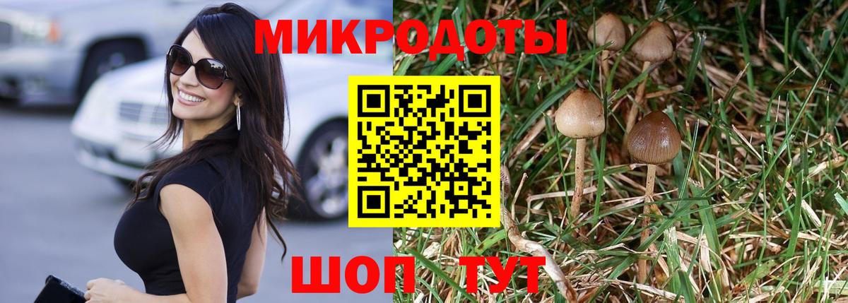 Галлюциногенные грибы GOLDEN TEACHER  Псилоцибиновые грибы мухоморы  Вход с VPN  Магадан 